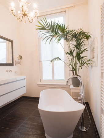 Particulier | Badkamer herenhuis
