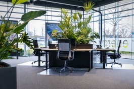 Zakelijk | Kantoortuin