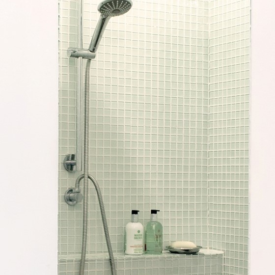 ellen_herber_interieurontwerp_badkamer_herenhuis_inloopdouche